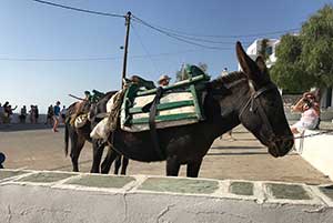 la grecia vista dal mare folegandros muli taxi cicladi 