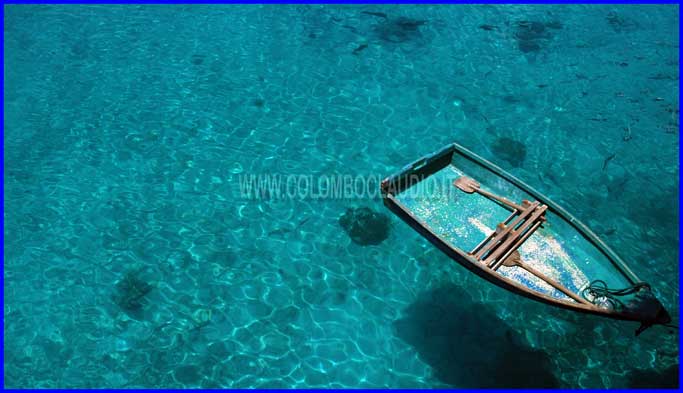 maldive boat