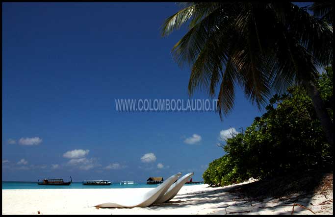 Il Paradiso delle Maldive: palm beach
