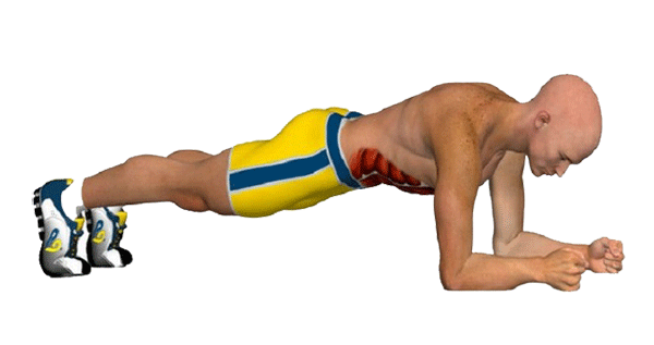 i falsi miti del fitness esericzio plank