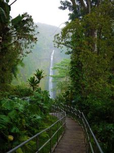 Akaka Falls