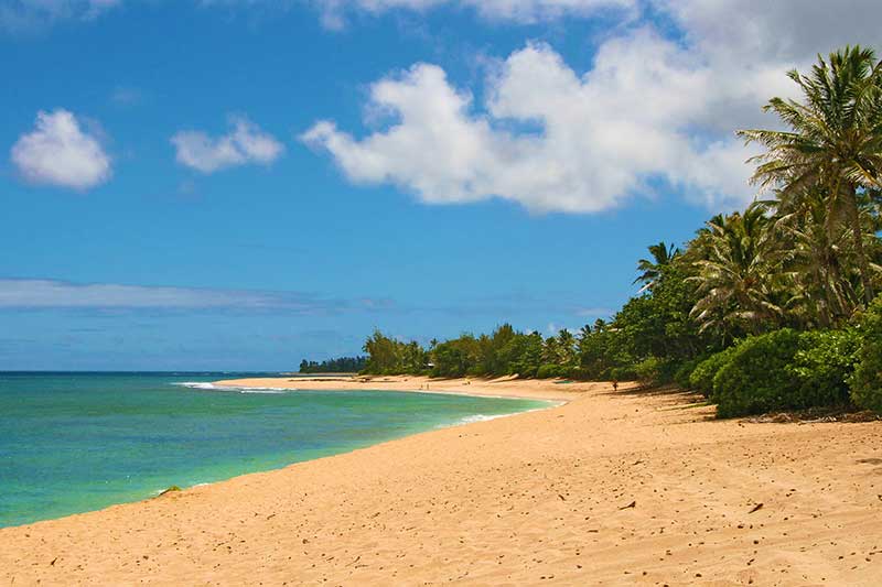 Ehukai Beach Park